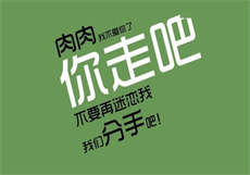 sw 225图解

